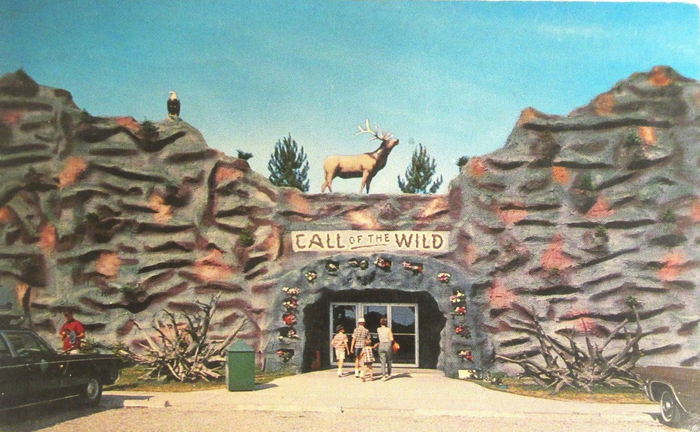Call of the Wild - Old Postcard (newer photo)